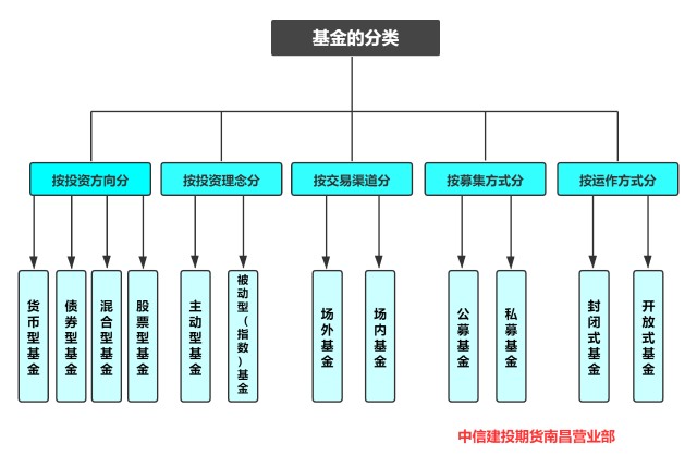 2025年桂平麻垌荔枝嘉年华系列活动开幕