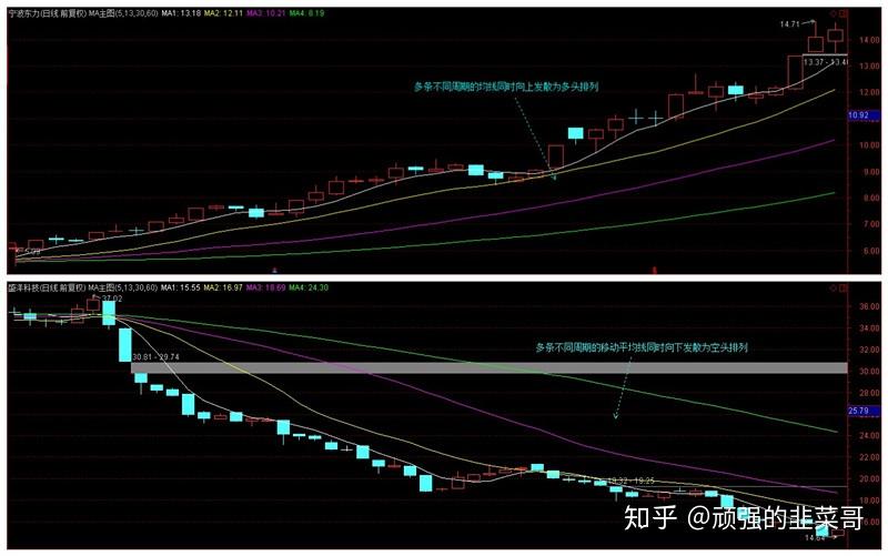 全国人大代表蒙全：把基层声音带到北京